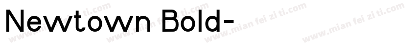 Newtown Bold字体转换